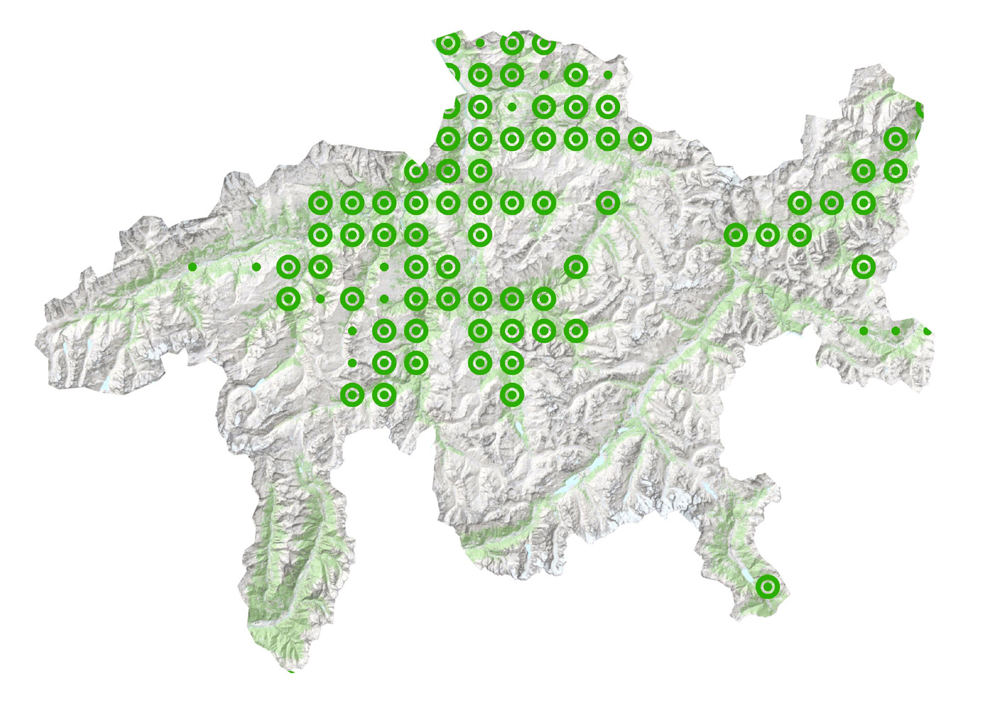 Verbreitung im Kanton: In diesen Regionen Graubündens kommt das Weidenblättrige Rindsauge vor.