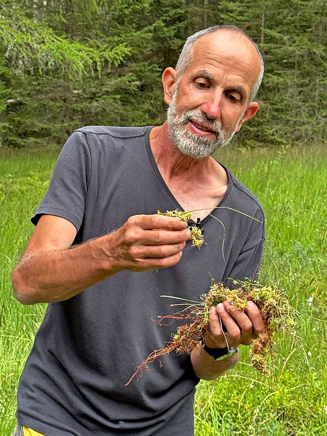 Martin Schneebeli zeigt die Baumeister des Moors.