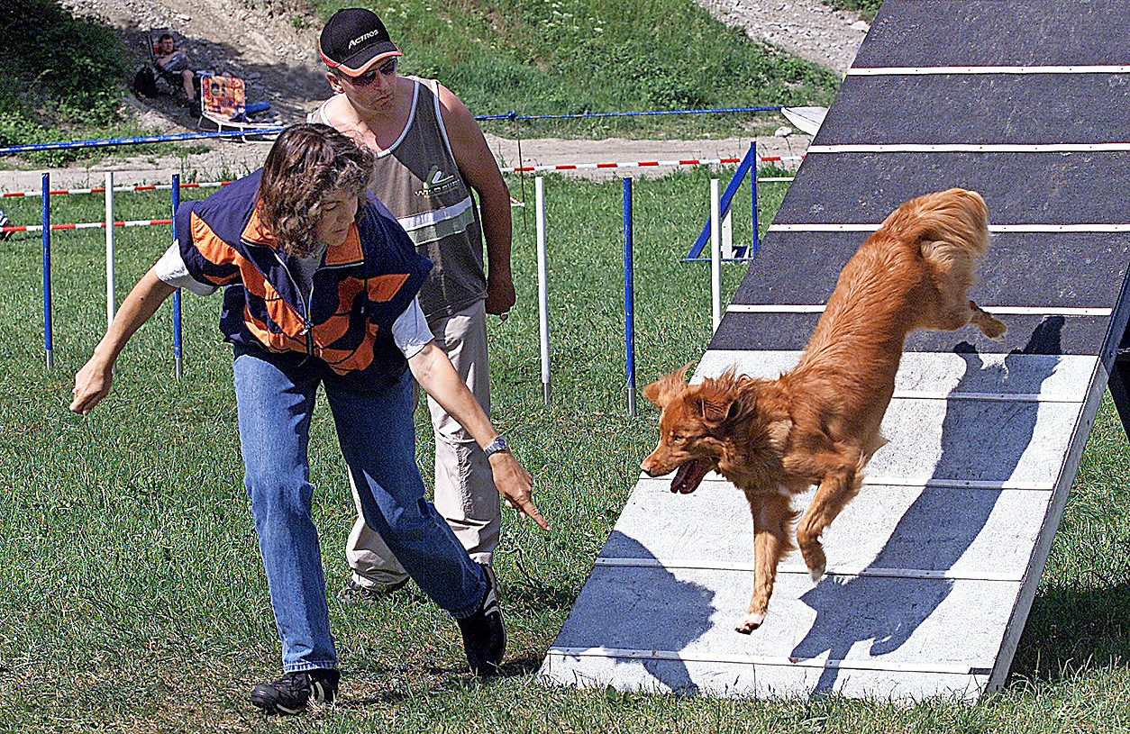Agility bringt Bewegung für Hund und Frauchen.  