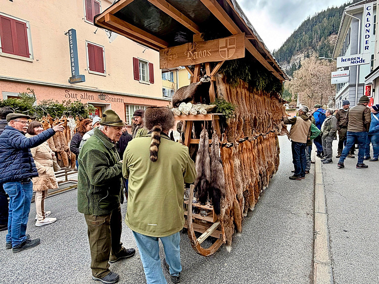 Am Wagen können die Fuchsfelle begutachtet werden – und es bleibt Zeit für Gespräche und Austausch.